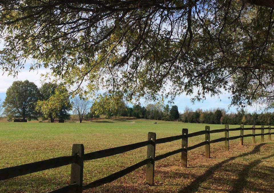 Camp Oak Hill Activity Field